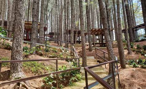 20 BEST Hotels in Dahilayan, Manolo Fortich 2024 .